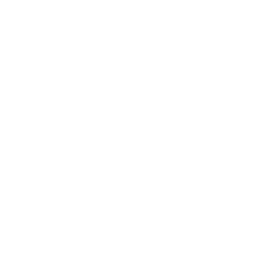 School runs icon